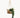 Jhuri Single Hanging Basket