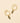 Ruchi Moon Charm Hoop Earrings