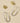 Bhavani Hoop & Shield Stud Earrings - Set of 2