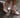 Fine Lover Leather Booties