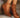 Giselle Leather Heel Booties
