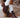 Lyon Lace-up Leather Oxfords