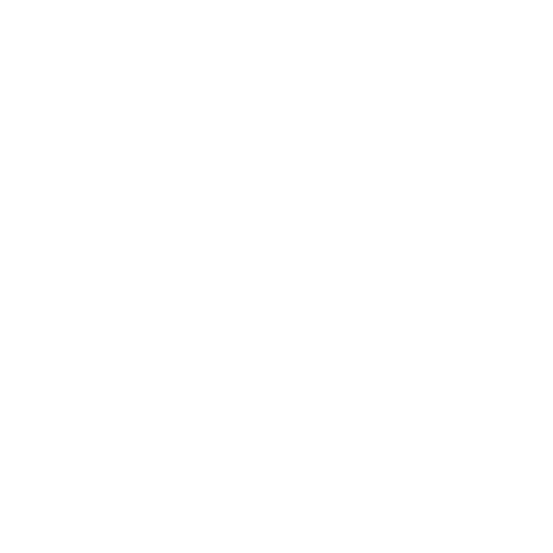 Ocelot Market logo