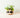 Large three-tone Sloth - Coco Coir Pots (6 inch)