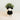 Pug Planter - Coco Coir Pots